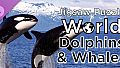 Jigsaw Puzzle World - Dolphins & Whales