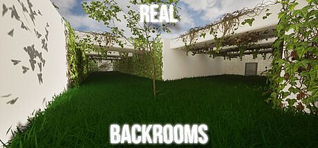 Real backrooms Game