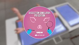 Dissection Simulator: Pig Edition