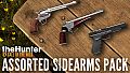 theHunter: Call of the Wild - Assorted Sidearms Pack