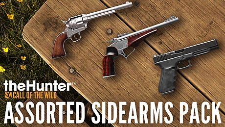theHunter: Call of the Wild - Assorted Sidearms Pack DLC