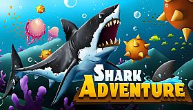 Shark Adventure