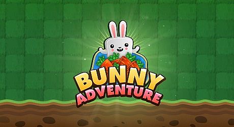 Bunny Adventure Game