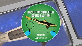 Dissection Simulator: Dogfish Edition