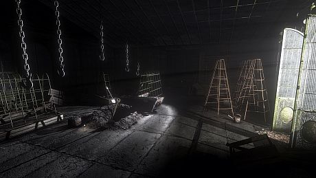 Rise of Insanity Game