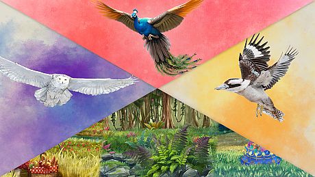 European + Oceania + Asia + Decorative Packs Game