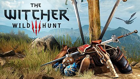 The Witcher 3: Wild Hunt - NEW GAME + DLC