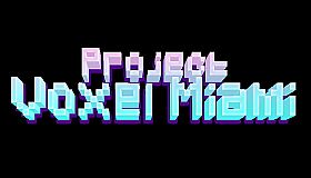 Project Voxel Miami