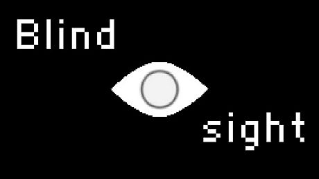 BLINDSIGHT
