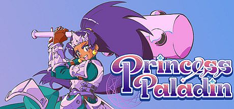 Princess Paladin