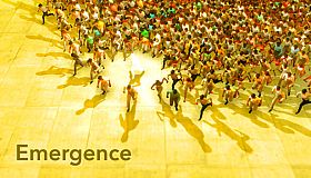 Emergence