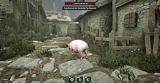 Sneaky Pig: Druid Hide & Seek