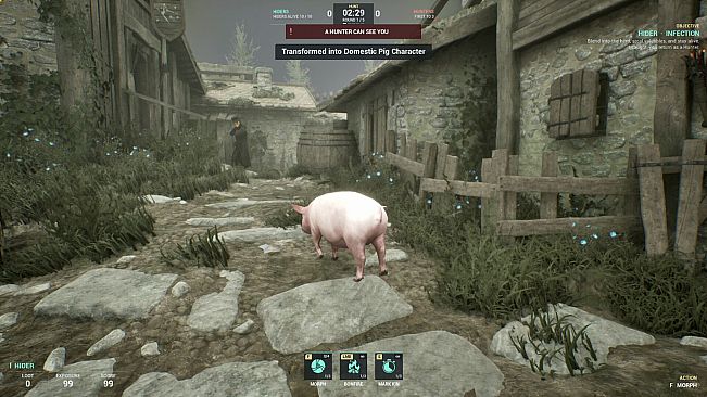 Sneaky Pig: Druid Hide & Seek