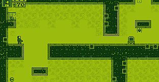 CHIP: Rescuer of Kittens