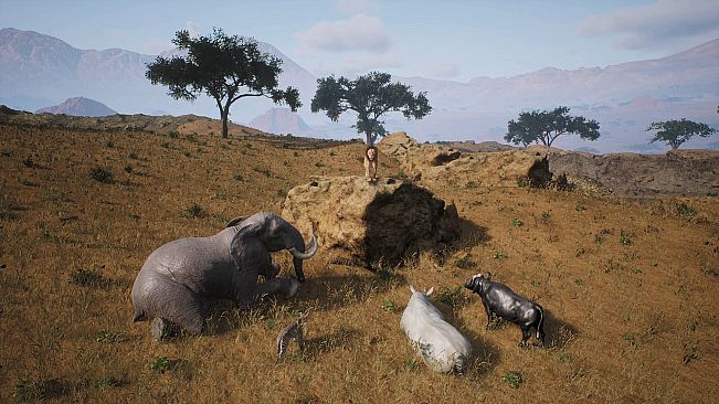PROJECT HUNT - Trophy Sanctuary