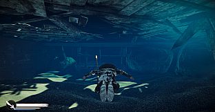 Echoes of Shadows: The Last Jinyiwei