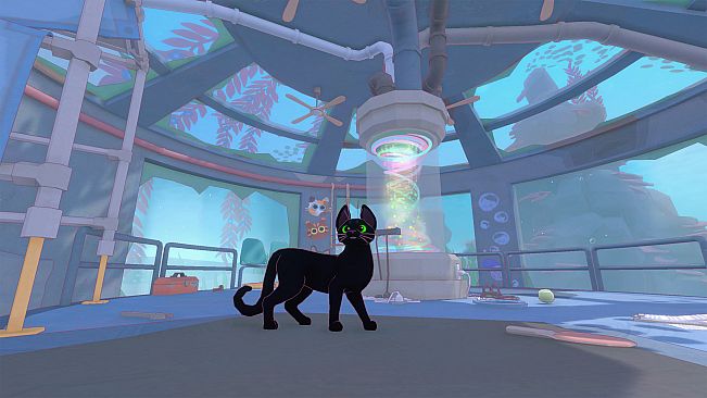 Little Kitty, Big City