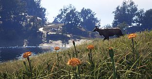 theHunter: Call of the Wild - Sundarpatan Nepal Hunting Reserve