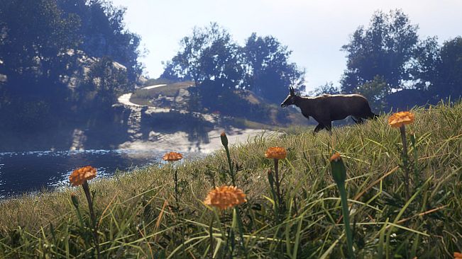 theHunter: Call of the Wild - Sundarpatan Nepal Hunting Reserve