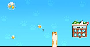 Flickly Cat