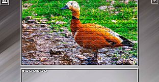 Super Jigsaw Puzzle: Generations - Birds 2