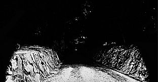 Monkey See, Monkey Doo, Monkey Kiss You