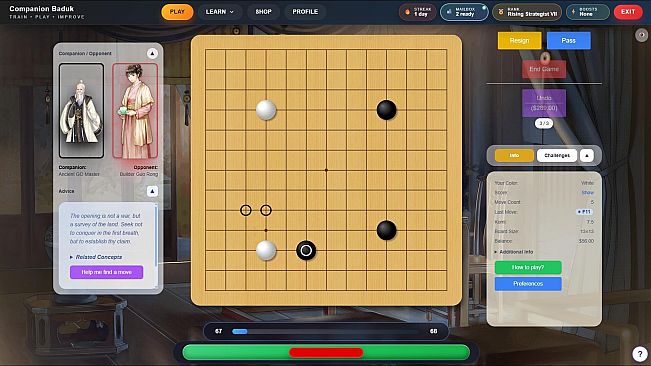 Companion Baduk