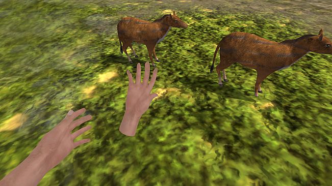 History of Korea - VR