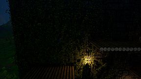 Butchers Don't Surf!