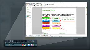 magnussoft Screen Recorder Professional