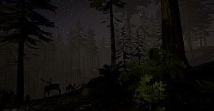 Skogsvakt