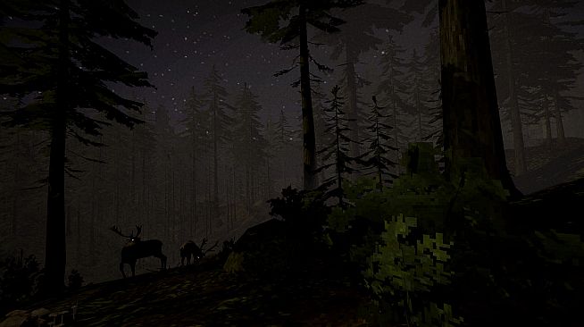 Skogsvakt