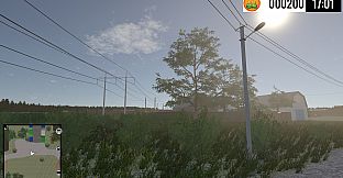 Village Courier Simulator