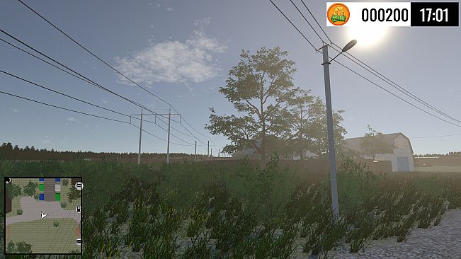 Village Courier Simulator
