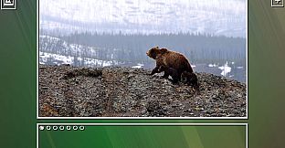 Super Jigsaw Puzzle: Generations - Bears Puzzles