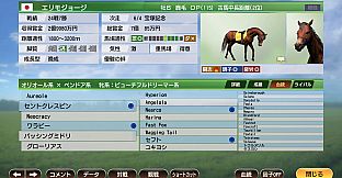 WP9 2022 スーパーカーと70年代個性派ホースたち 購入権セット 全４頭