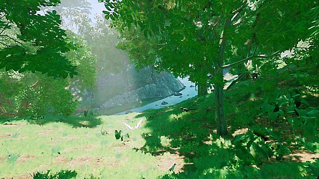 Insect Flight Simulator VR