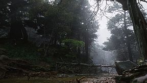 Black Myth: Wukong Benchmark Tool