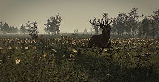 Greyfall