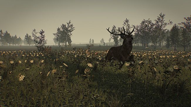 Greyfall