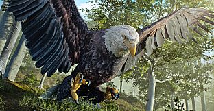 Birding Simulator: Bird Photographer