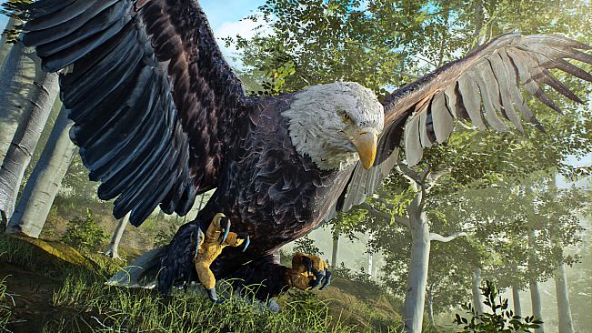 Birding Simulator: Bird Photographer