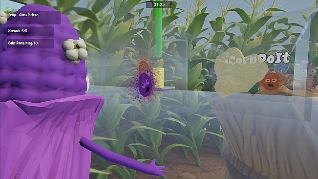 A Maize in Mazes