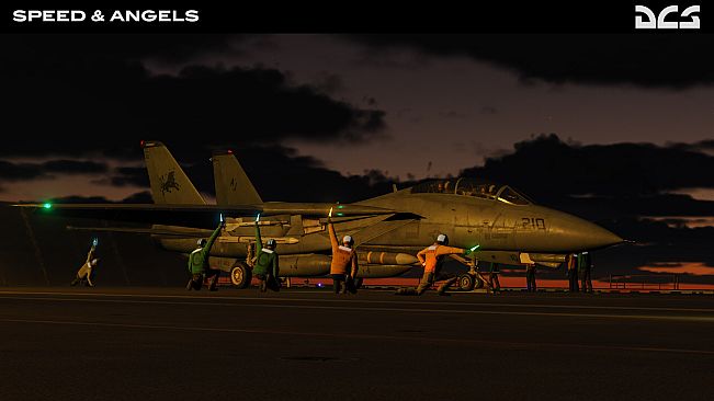 DCS: F-14B Speed and Angels Campaign