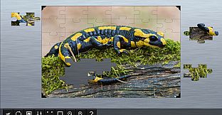 Jigsaw Puzzle World - Amphibians