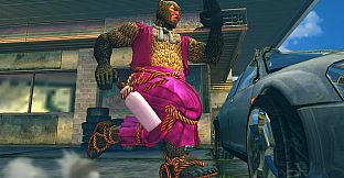 USFIV: Shoryuken Wild Pack