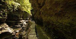 Get Lost In Nature With Luke