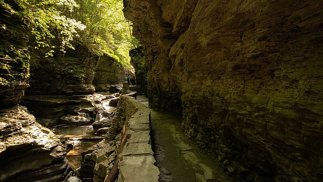 Get Lost In Nature With Luke