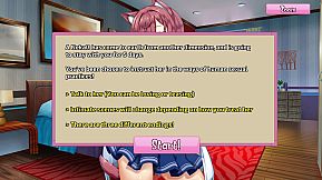 My Unusual Feline Friend