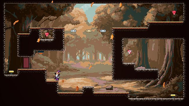 Boxes Wizard (Bundle)